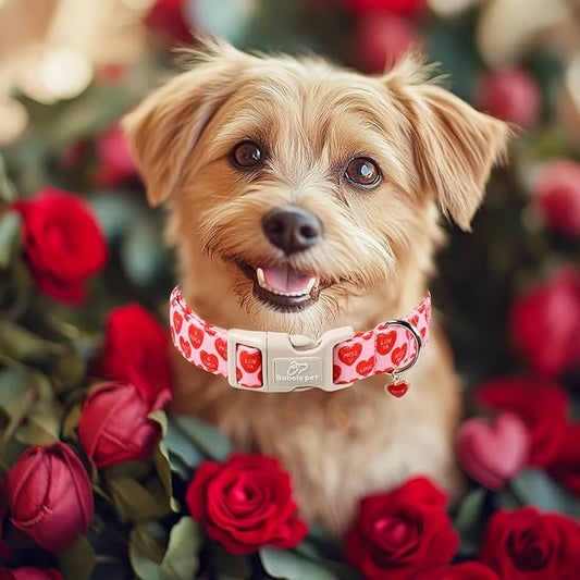 Valentines Dog Collar for Small Dogs - Valentine Red Conversation Hearts Dog Collars, Love Boy Girl Dogs Collars, Lightweight Adjustable Cute Puppy Collar with Quick-Release Buckle XS