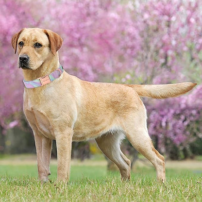 Unique style paws Dog Collar Metal Buckle Purple Blending Collar Gift Durable Cute Collar for Small Medium Large Boys Girls Dogs