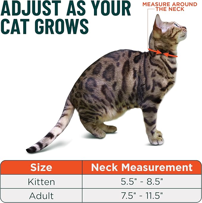 OutdoorBengal Red Breakaway Kitten Collar - Ultra Safe Quick Release Cat Collar for Small Kittens Under 6 Months – Soft-Padded, Lightweight, Adjustable, Thin and Comfortable, No Bell (Red, Kitten)