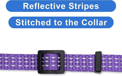 Pawtitas Reflective Purple Cat Collar with Safety Buckle and Removable Bell for Kitten and Cats