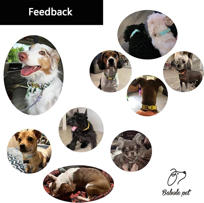 Nylon Dog Collar - Adjustable Yellow Soft Webbing Dog Collars for Small Medium Large Dogs Boy Girl Puppy Collar with Safety Metal Buckle S