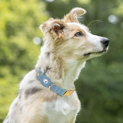 AirTag Dog Collar for Small Medium Large Breed - Adjustable Cute Pattern Dog Collar with Airtag Holder - Soft Leather Tracker GPS Apple Air Tag Pet Collars (Small, 12"-15" Neck Fit, Floral)
