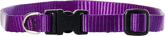 LupinePet Basics 1/2" Purple 10-16" Adjustable Collar for Small Dogs
