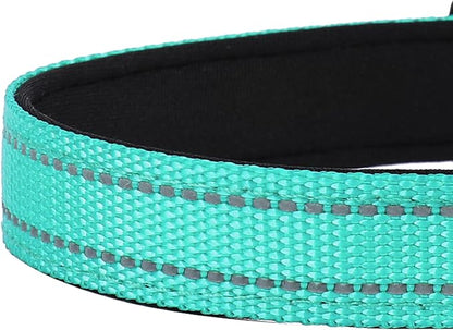 Reflective Dog Collar, Adjustable Soft Neoprene Padded Nylon Pet Collars with Buckle for Puppy and Small Dogs, Cats, Teal,XS