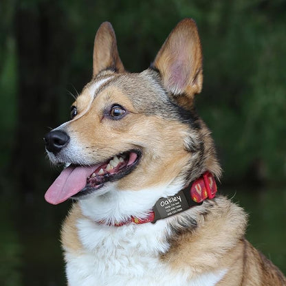 Anavia Slide On Silent Pet ID Tags, S/M/L/XL Personalized Black Stainless Steel Colored Silicone Cat Dog Name Tag, Customized Engraved Nameplate, Quiet Chew-Proof Pet Collar Tag (Blue, Small)