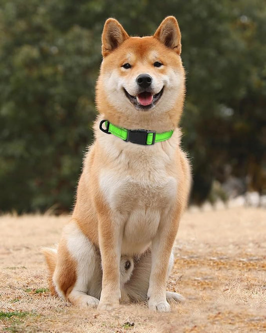 TagME Reflective Nylon Dog Collars, Adjustable Classic Pet Collar with Quick Release Buckle for Medium Dogs, Green, 1.0" Width