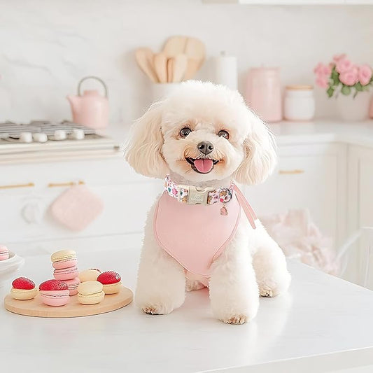 Cute Dinosaur Dog Collar, Adjustable Pink Dino Dog Collars for Puppy Small Dogs, Lightweight Quick-Release Buckle Birthday Collar for Boy&Girl Dogs XS