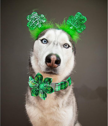 Lionheart glory St. Patrick's Day Dog Collar with Flower Dog Collar for Small Dogs, Green Plaid Cute Collars Spring Dogs Collars Flower Puppy Heavy Duty Cute