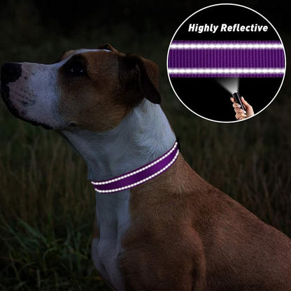 TagME Reflective Nylon Dog Collars, Adjustable Classic Pet Collar with Quick Release Buckle for Large Dogs, Purple, 1.0" Width