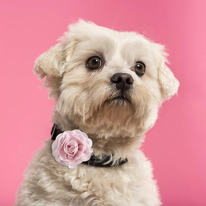 Leinuosen 14 Pcs Flower for Dog Collar Pet Collar Flowers Charms Multi Color Bow Tie for Cat Puppy Dog Grooming Accessories
