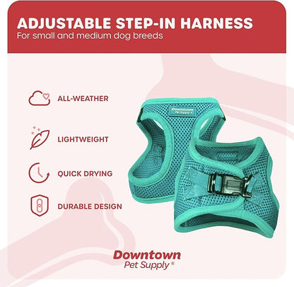 Downtown Pet Supply Step-in Dog Harness – No Pull, Adjustable Padded Mesh with Reflective Trim, Secure Buckle Strap – Comfortable & Breathable Small Dog Harness, Small, Bermuda Blue