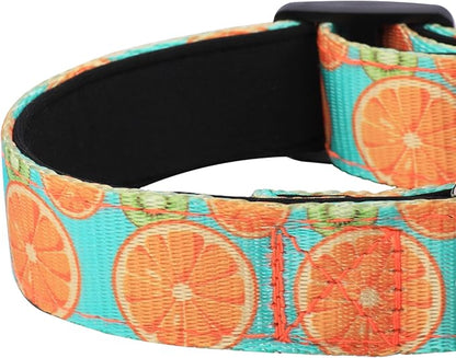 Reflective Dog Collar, Adjustable Soft Neoprene Padded Nylon Pet Collars with Buckle for Puppy and Small Dogs, Cats, Summer Lemon,L