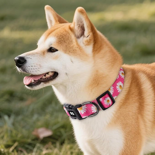 QQPETS Adjustable Soft Dog Collar: Print Flower Pink Multicolor Cute Patterns for XS Small Medium Large Pet Girl Boy Puppy Walking Running Training (L, Small Daisies)