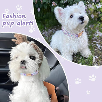 Elegant Butterfly Dog Collar, Purple Blue Gradient Design Collars for Dogs, Adjustable Comfortable for Small Medium Large Dogs, Handmade Cotton Puppy Collar for Daily Walks 、Park Adventures-L