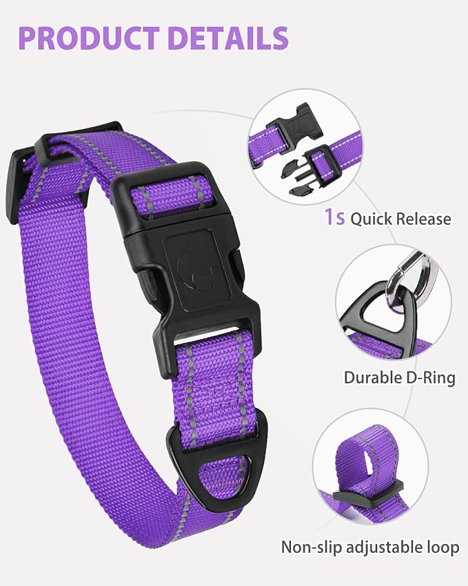 Joytale Small Dog Collar, Reflective and Adjustable Nylon Collar with Quick-Release Buckle, Lightweight No-Choke Design for Small Dogs, Purple, 5/8" Width