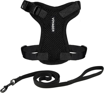 Voyager Escape-Proof Step-in Lock Cat Harness & 5ft Neoprene-Handle Leash Set All-Weather Mesh with Reflective Stitching for Small to Large Cats by Best Pet Supplies, Black, XXS