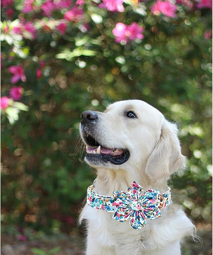 Lionheart glory Dog Collar Flowers Collar Floral Dog Collar with Flower Spring Summer Cute Collar Dog Boy or Girl Dog Collars Soft Durable Adjustable Dog Collars for Large Dogs