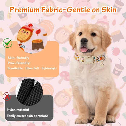 Fall Woodland Dog Collar, Playful Squirrel & Pumpkin Print on White Collar for Small Medium Large Dogs, Breathable, Adjustable & Comfortable Puppy Collar for Fall Walks & Pet Photos-XS