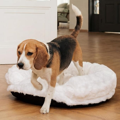 Dog Bed Couch Sofa for Small Medium Dogs and Cats Round Plush Orthopedic Sofa Pet Bed Washable Puppy Bed with Removable Cover Anxiety Relief Dog Couch Pet Furniture for Indoor Pets 30 x 30 x 9 White