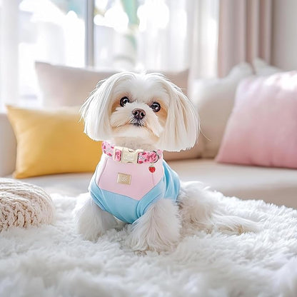 Strawberry Bow Dog Collar for Small Dogs - Cute Pink Spring/Summer Girl Dog Collars, Lightweight Adjustable Female Girly Dogs Collars with Quick Release Buckle S