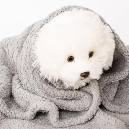 2 Blankets, Dog Cat Pet Blanket, Soft Warm Fleece, for Puppy, Small Dogs or Kitten, Cats, Plush Fuzzy Blanket for Bed, Sofa, Travel (40" x 32", 2/Pack, Beige+Light Gray)