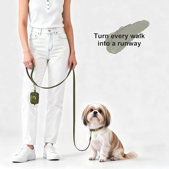Didog Soft PU Leather Dog Collar, Stylish Quick Released Dog Collars for Small Dogs, Easy Clean Adjustable Pet Collar for Daily Walking, Dark Green, S Fit 10-16" Neck