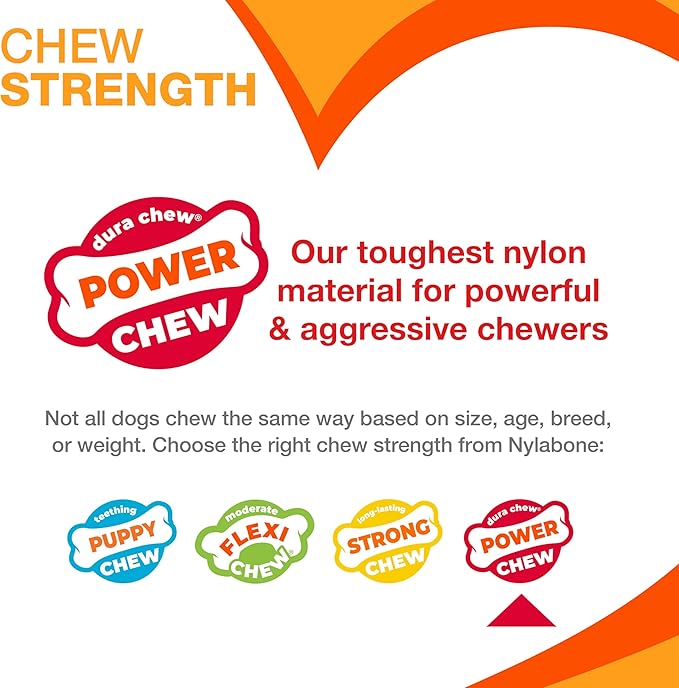 Nylabone Textured Bone Power Chew Toy for Dogs, Durable & Tough Dog Toys for Aggressive Chewers, Beef Jerky Flavor, X-Small Dogs - Up to 15 lbs, 1 Count