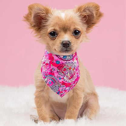 30 Pack Paisley Dog Bandanas for Small Dogs Stitch Bandanas Bulk Reversible Polyester Print One Side Dog Bandana Party Grooming S