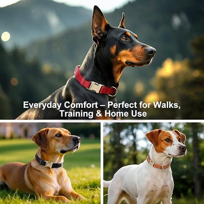 Plutus Pet Genuine Leather Dog Collar – Adjustable Pet Collar with Quick Release Metal Buckle, Soft Real Leather for Small Medium Large Dogs, Heavy Duty & Skin-Friendly (Blue, S)