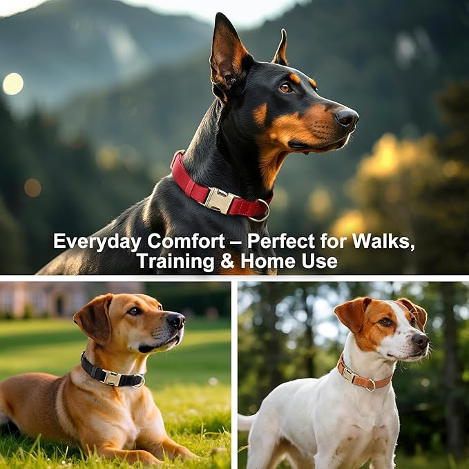 Plutus Pet Genuine Leather Dog Collar – Adjustable Pet Collar with Quick Release Metal Buckle, Soft Real Leather for Small Medium Large Dogs, Heavy Duty & Skin-Friendly (Copper Brown, S)