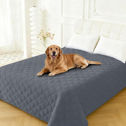 Waterproof Couch Covers for Pets, Waterproof Dog Bed Cover, Anti-Slip Soft Dog Blankets, Couch Cover for Dogs Washable, Pet Blanket for Puppy Large Dogs Cat (68x82 Inch, Dark Grey)