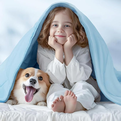 Luciphia Premium Cooling Dog Blanket for Small Medium Dogs Q-max>0.4 Washable Self-Cooling Cat Pet Mat Puppy Breathble Calming Throw for Beds Couches (Blue,60x80 inches)