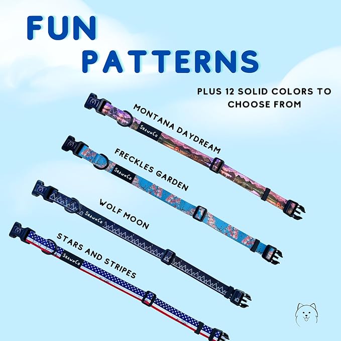 ShawnCo Dream Walk Dog Collar- Premium, Adjustable and Comfortable Pet Collar for Small, Medium, Large and Extra Large Dogs (Electric Blue,M)