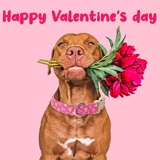 Faygarsle Valentine's Day Dog Collar, Pink Heart Pattern with Metal D-Ring and Heart Charm, Adjustable Pet Collar for Small Medium Large Dogs L