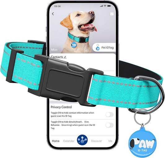 Reflective Dog Collar for Large Dogs with Dog Tags Personalized & Quick Release Buckle, Adjustable and Comfortable Nylon Pet Collar, Mint Green