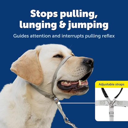 PetSafe Gentle Leader Headcollar No-Pull Dog Collar - Helps Improve Walks - Durable Nylon Construction - Padded Nose Loop - Adjustable Fit - Comfort Walking Halter - Large, Charcoal
