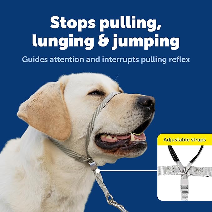 PetSafe Gentle Leader Headcollar No-Pull Dog Collar - Helps Improve Walks - Durable Nylon Construction - Padded Nose Loop - Adjustable Fit - Comfort Walking Halter - Small, Silver
