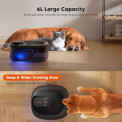 WOPET Dog Water Fountain for Large Dogs, 6L/205oz/1.7Gal Automatic Dog and Cat Water Fountain, Pet Water Dispenser with 2 Filters, Ultra-Quiet Pump, Great for Large Dogs Cats and Multi-Pet Home