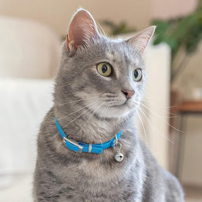 CollarDirect Leather Cat Collar with Bell - Kitten Collar, Small and Big Cat for Boy Cats, Girl Cats with Safety Elastic Strap (Neck Fit 8"-11", Light Blue)