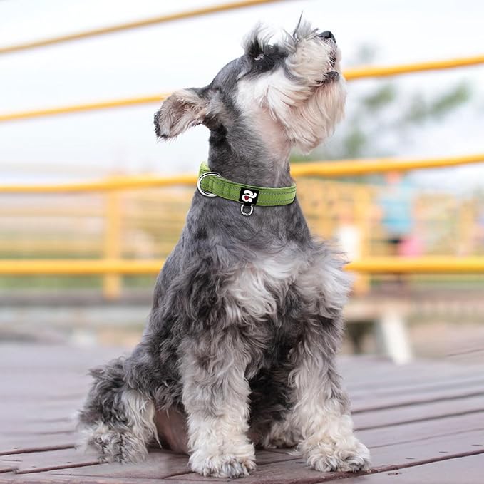 azuza Reflective Dog Collar, Soft Neoprene Padded Pet Collar with ID Tag Ring, Adjustable for Small Dogs,Army Green,S