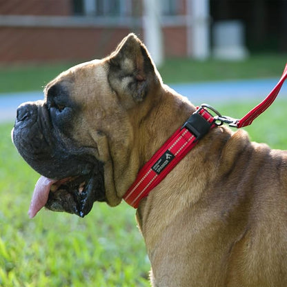 EXCELLENT ELITE SPANKER Reflective Dog Collar Classic Soft Padded Breathable Nylon Adjustable Pet Collar with Quick Release Buckle for Boy Girl Male Female Small Medium Large Dogs Training(Red-M)