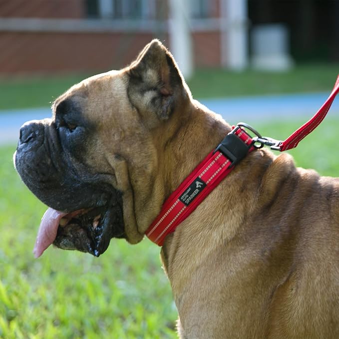 EXCELLENT ELITE SPANKER Reflective Dog Collar Classic Soft Padded Breathable Nylon Adjustable Pet Collar with Quick Release Buckle for Boy Girl Male Female Small Medium Large Dogs Training(Blue-XL)