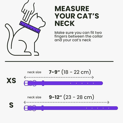 BRONZEDOG Leather Cat Collar with Removable Bells Non Breakaway Kitten QR Tag for Girl Boy (7" - 9" for Cats, Purple & Gold)