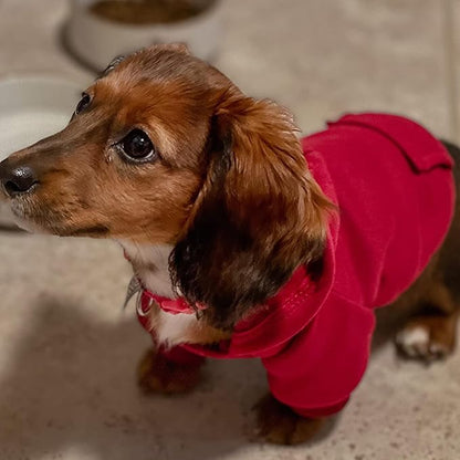 Jecikelon Winter Dog Hoodie Sweatshirts with Pockets Warm Dog Clothes for Small Dogs Chihuahua Coat Clothing Puppy Cat Custume (Wine red, X-Small)