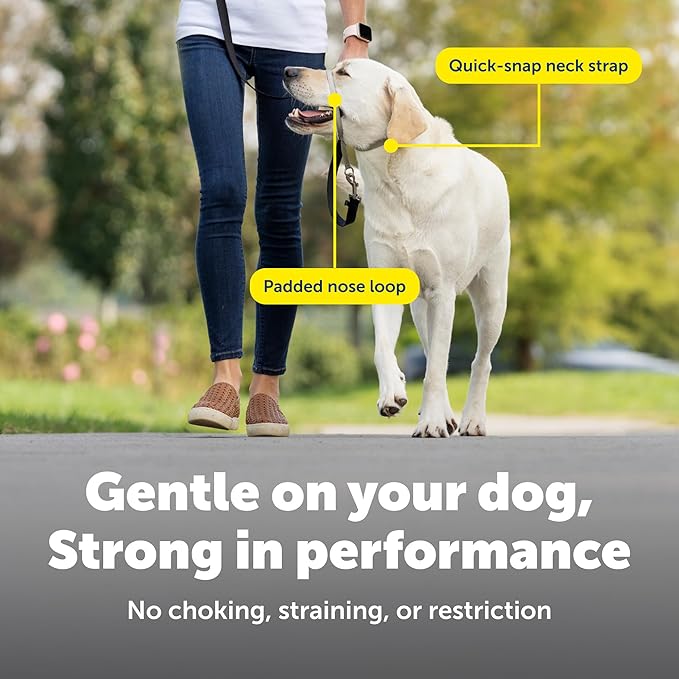 PetSafe Gentle Leader Headcollar No-Pull Dog Collar - Helps Improve Walks - Durable Nylon Construction - Padded Nose Loop - Adjustable Fit - Comfort Walking Halter - Medium, Royal Blue