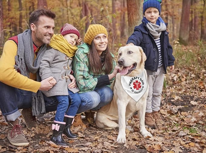 Dog Bandana, Therapy Dog Please Pet Me with, Dogs Scarf Classical Printing, Dogs Scarf Accessories, Doggy Kerchief Pet Kerchief, Christmas Birthday Thanksgiving Doggy Gift A08