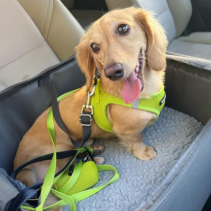 Best Pet Supplies Voyager Step-in Air All Weather Mesh Harness and Reflective Dog 5 ft Leash Combo with Neoprene Handle, for Small, Medium and Large Breed Puppies - Set (Lime Green), XS