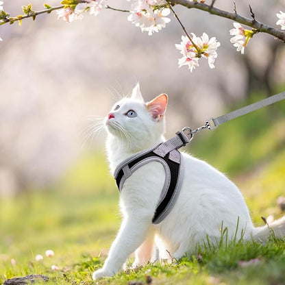 SCENEREAL Cat Harness and Leash Set for Walking Escape Proof, Adjustable Harness for Kitten Puppy Small Medium Large Cats, Reflective Soft Mesh Small Cat Harness, Comfort Fit, Easy Control