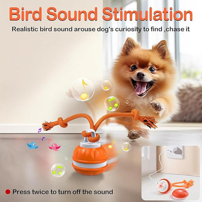 Interactive Dog Toys，Peppy Pet Ball for Dogs，Motion Activate Rolling Ball for Puppy/Medium Dogs，Active Rolling Dog Bal l Wicked Bal l for Daily Training, Dog Toys to Keep Them Busy (Orange)
