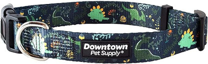 Downtown Pet Supply - Best & Fancy Adjustable Dog Collar with Quick Buckle & D-Ring - Hand Wash Safe - Dino - M - Medium